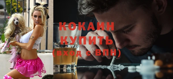 крисы Богородицк