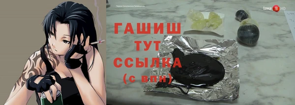 твердый Бородино