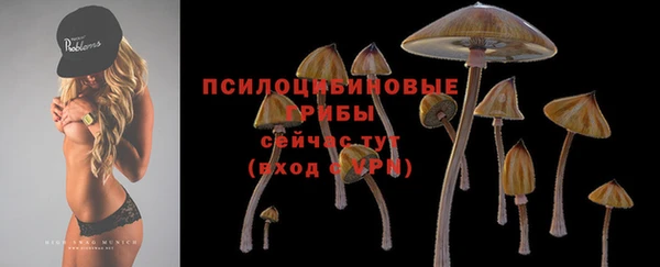 крисы Богородицк