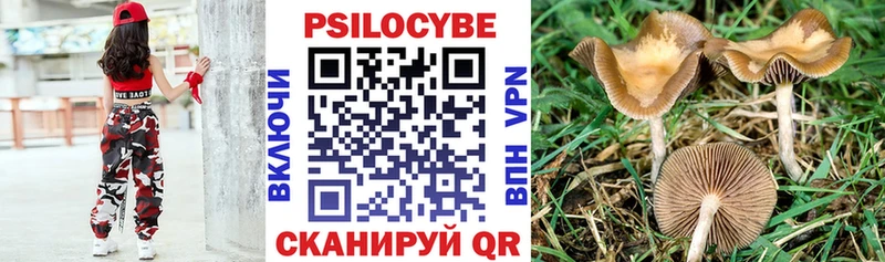 даркнет как зайти  Нижний Новгород  KRAKEN зеркало  Галлюциногенные грибы прущие грибы  наркошоп 